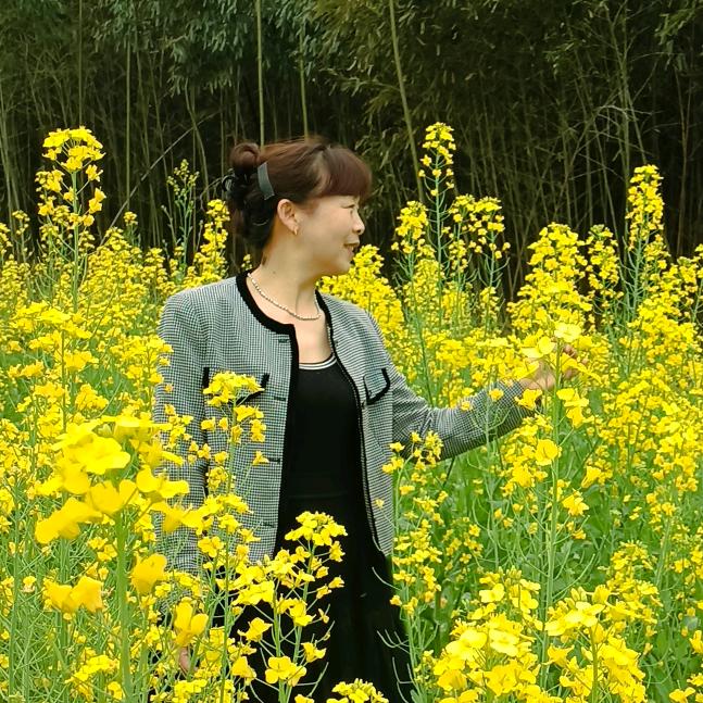 🌷黄色枫叶🌷