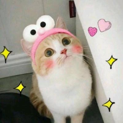 聚九优选
