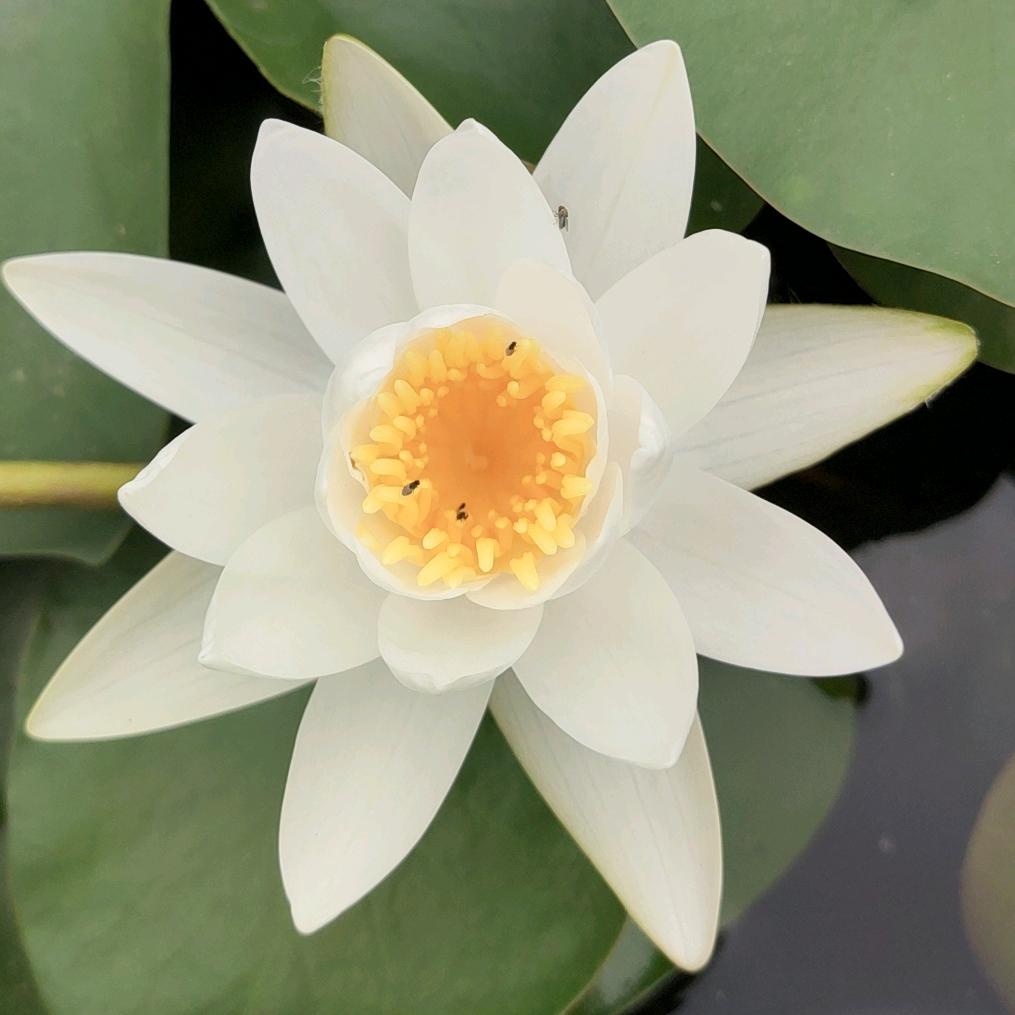 @平凡的生活🥦