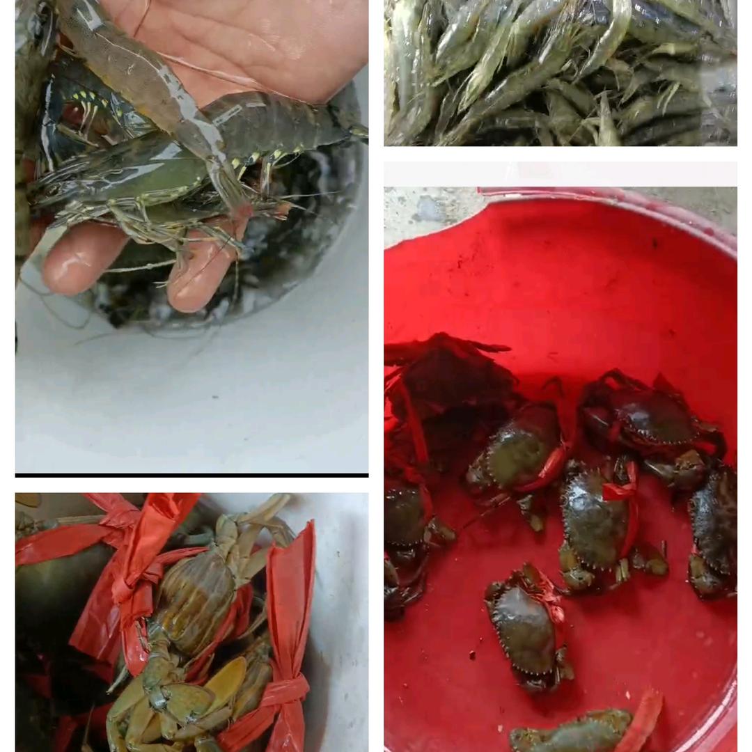 贴砖薛师傅