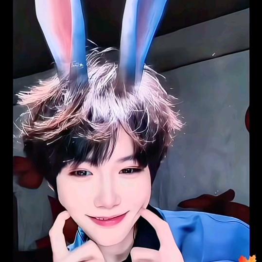 🍀香蕉🐛树🍁