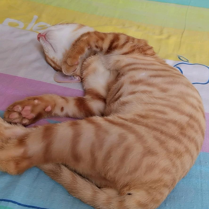 感悟