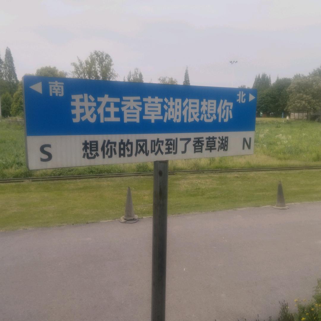 未来的梦想