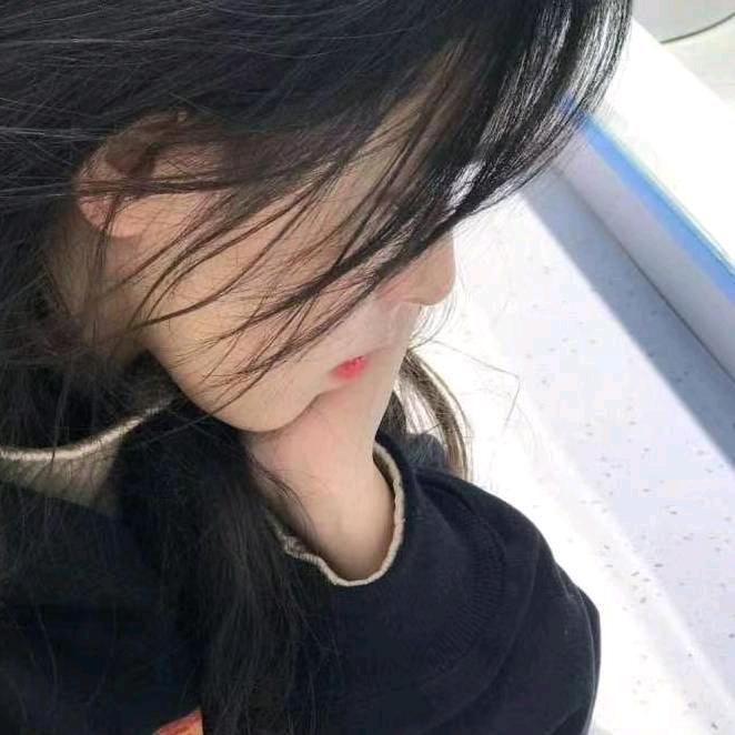 笨笨哒二号