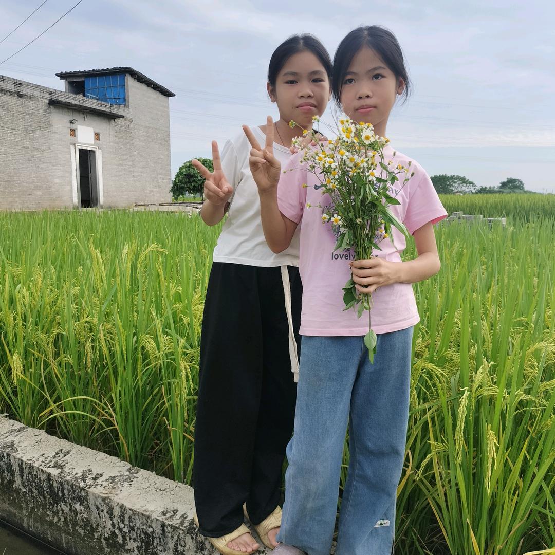 慧慧