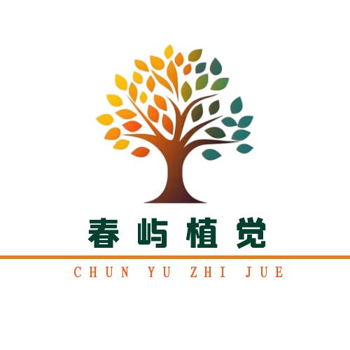 春雅轩 石艺雕刻