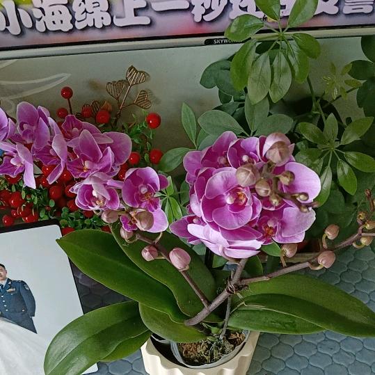 晴天