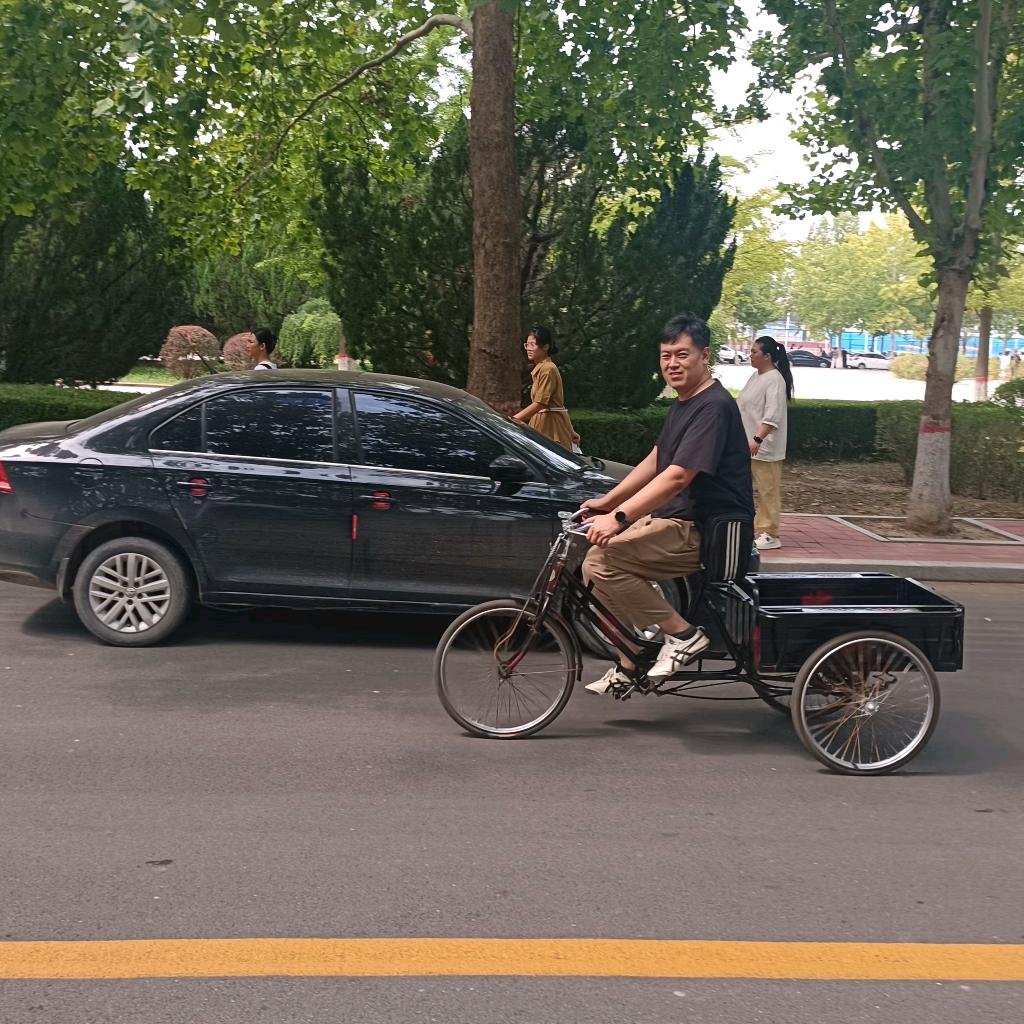 一只小涛涛
