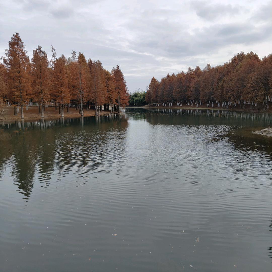 @果