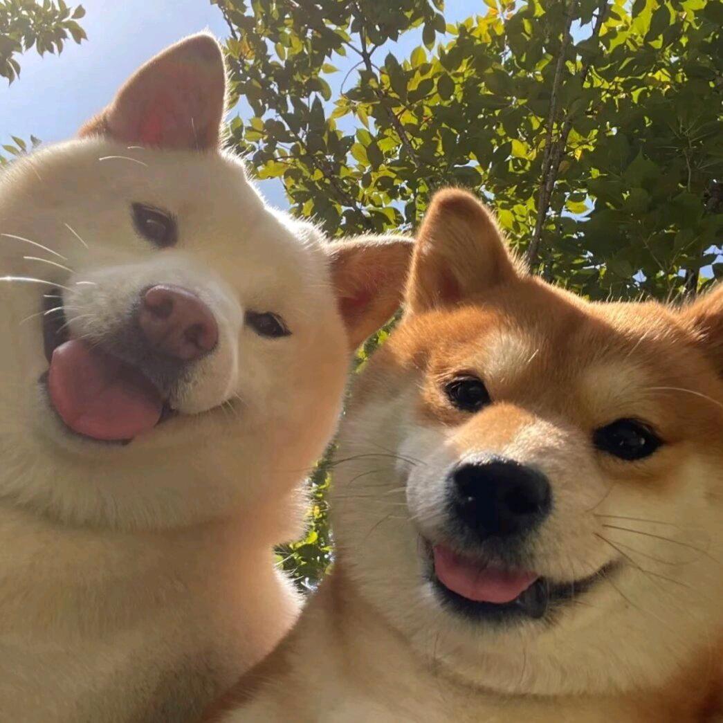 🏫