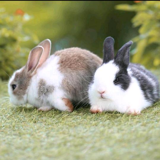 在不疯狂，我们就老咯