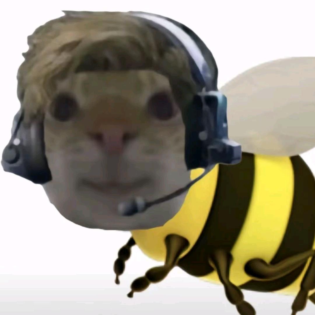 梁小梁
