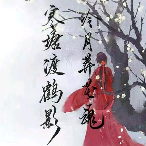 🌈寒塘渡鹤影🍃