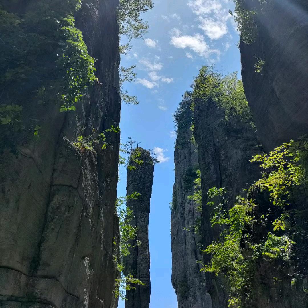 恩施武汉三峡神农架地接邓玲
