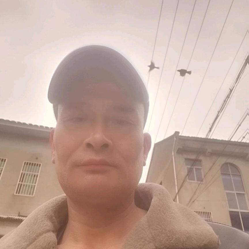 受伤的狼（助力号）