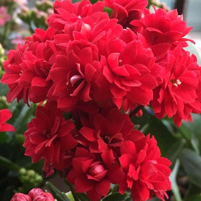 幸福感爆棚