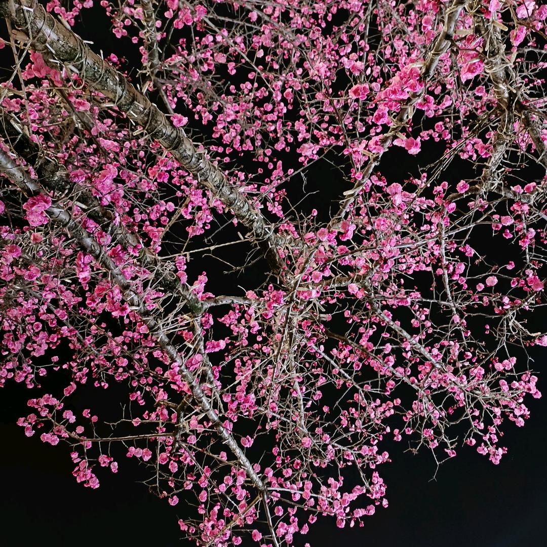 碧水蓝天政