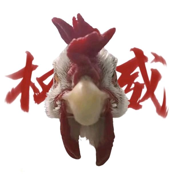 傅阿汞（恩师母鸡）