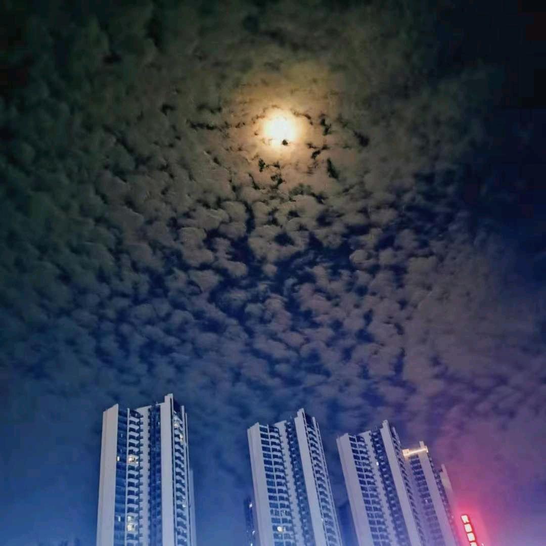 xiaohao