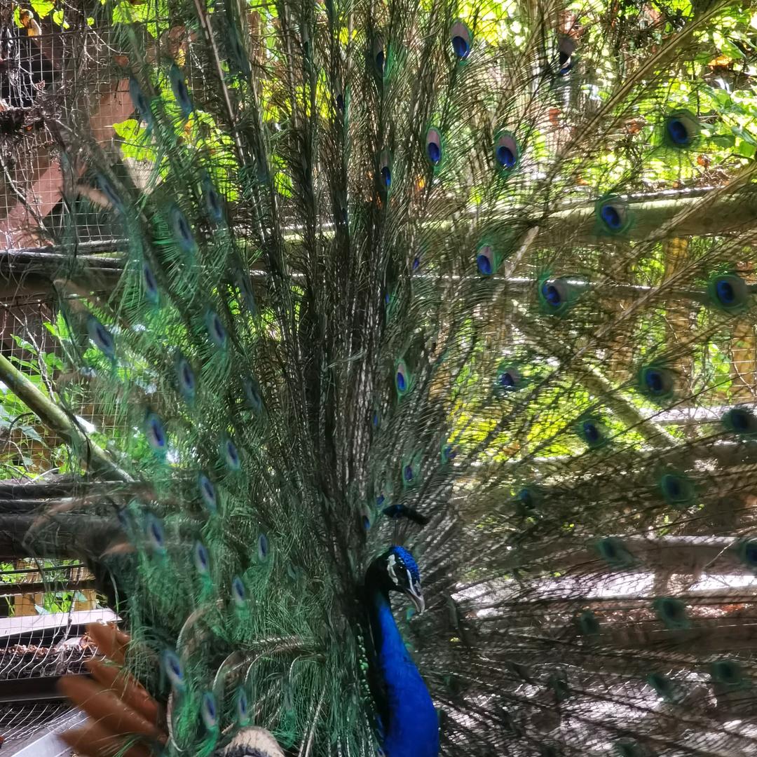 平安幸福每一天