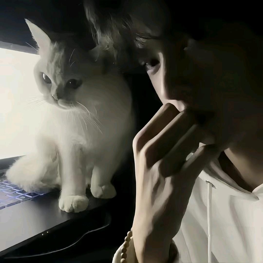 迟迟.