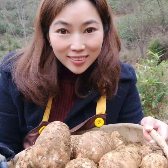 小草坝天麻小王