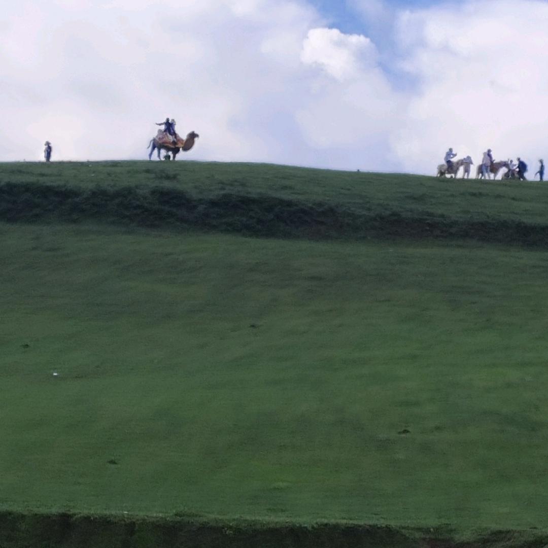 119