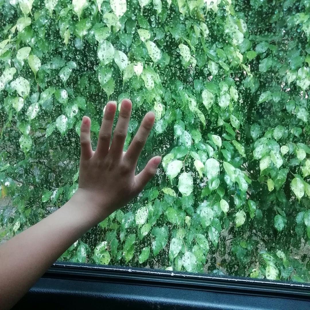 梧桐书语（好书共读20：17）