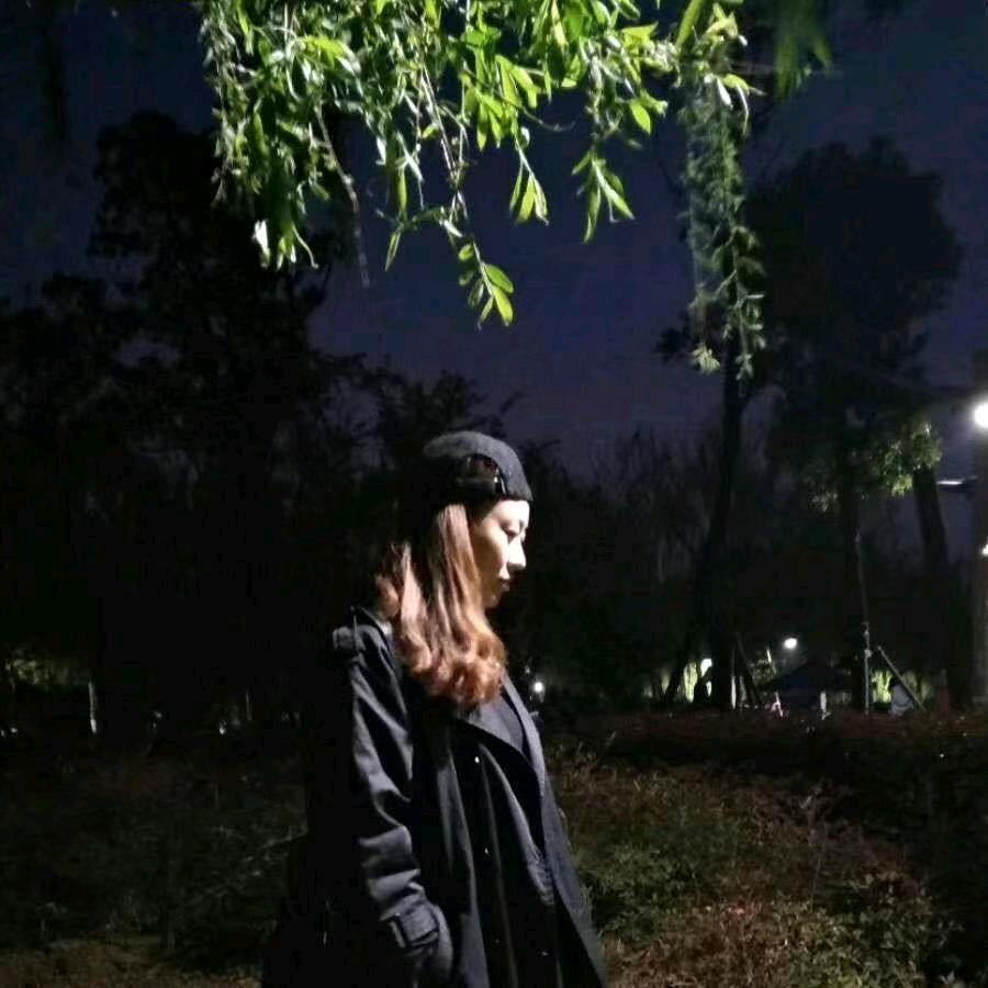 凤舞九天