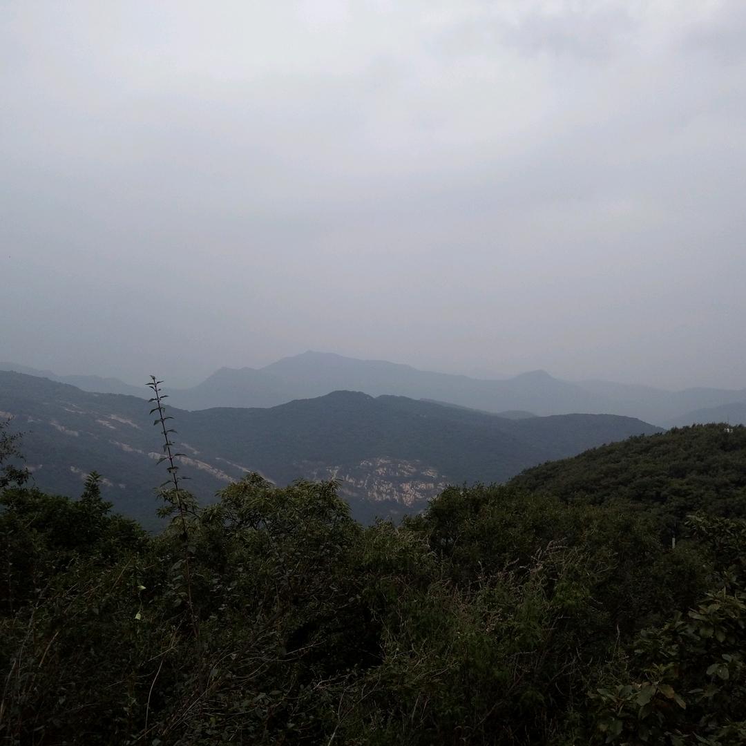 稳中求进+