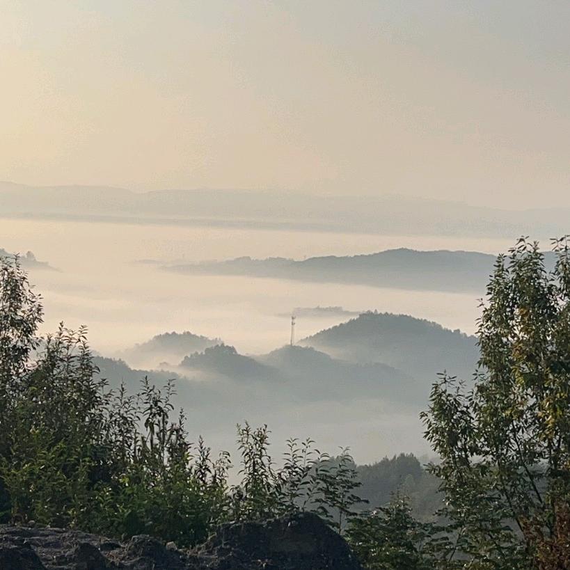 人生得意须尽欢