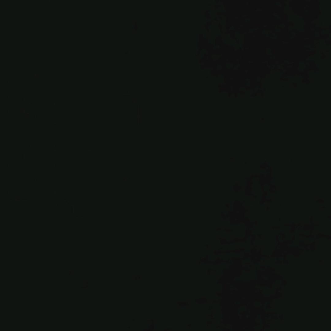 白天不懂夜的黑