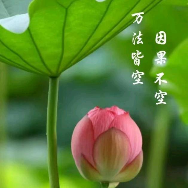 沧海
