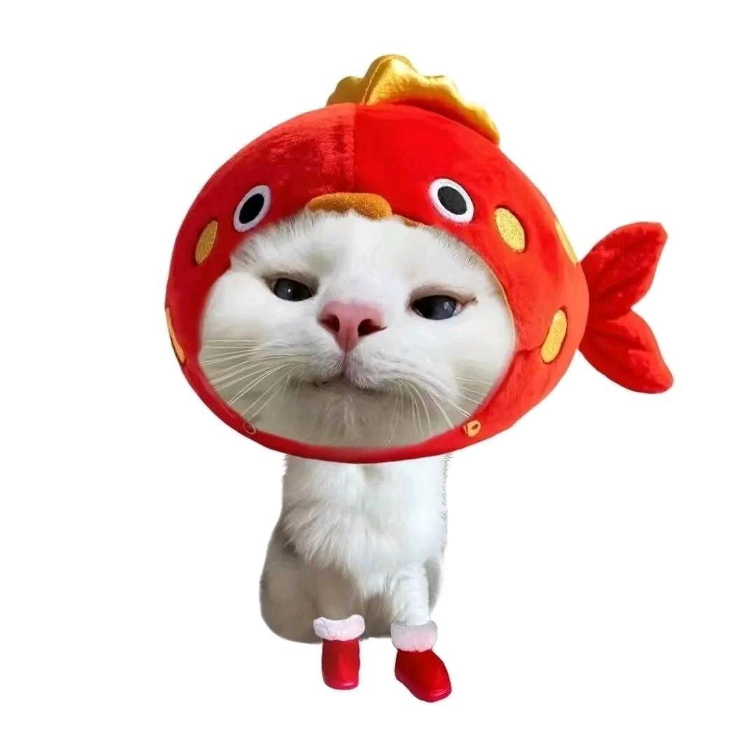 第¹⁷次黎明