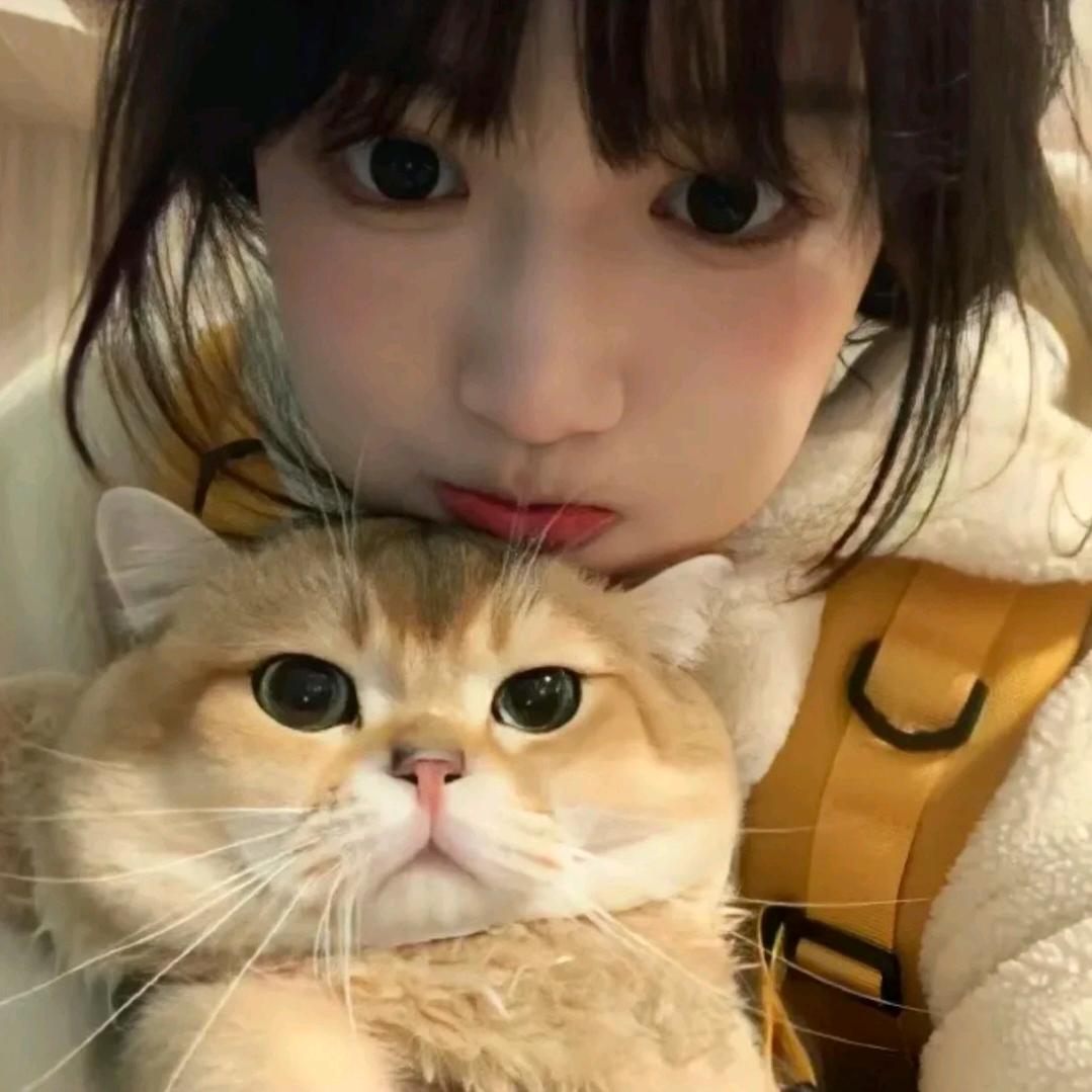 小猫莓u烦恼 ₍˄·͈༝·͈˄*₎◞ ̑