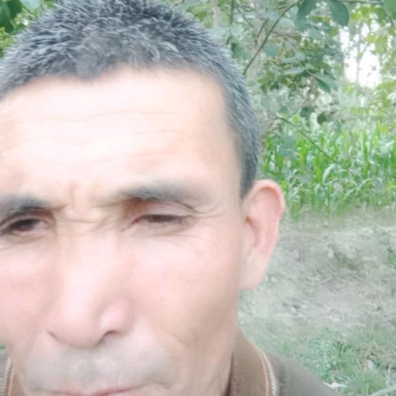 xoh yurak