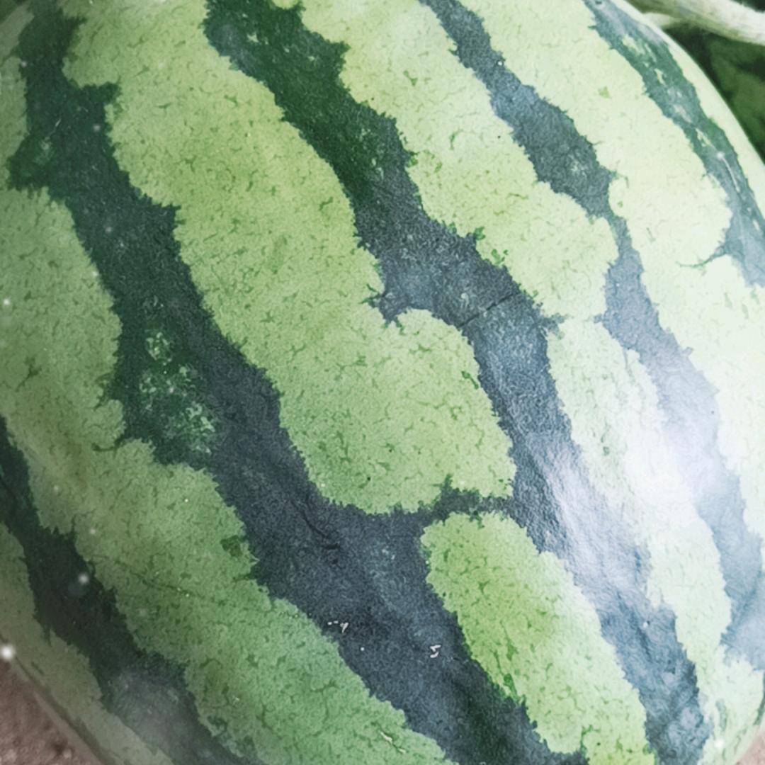 爱赞美父的农夫