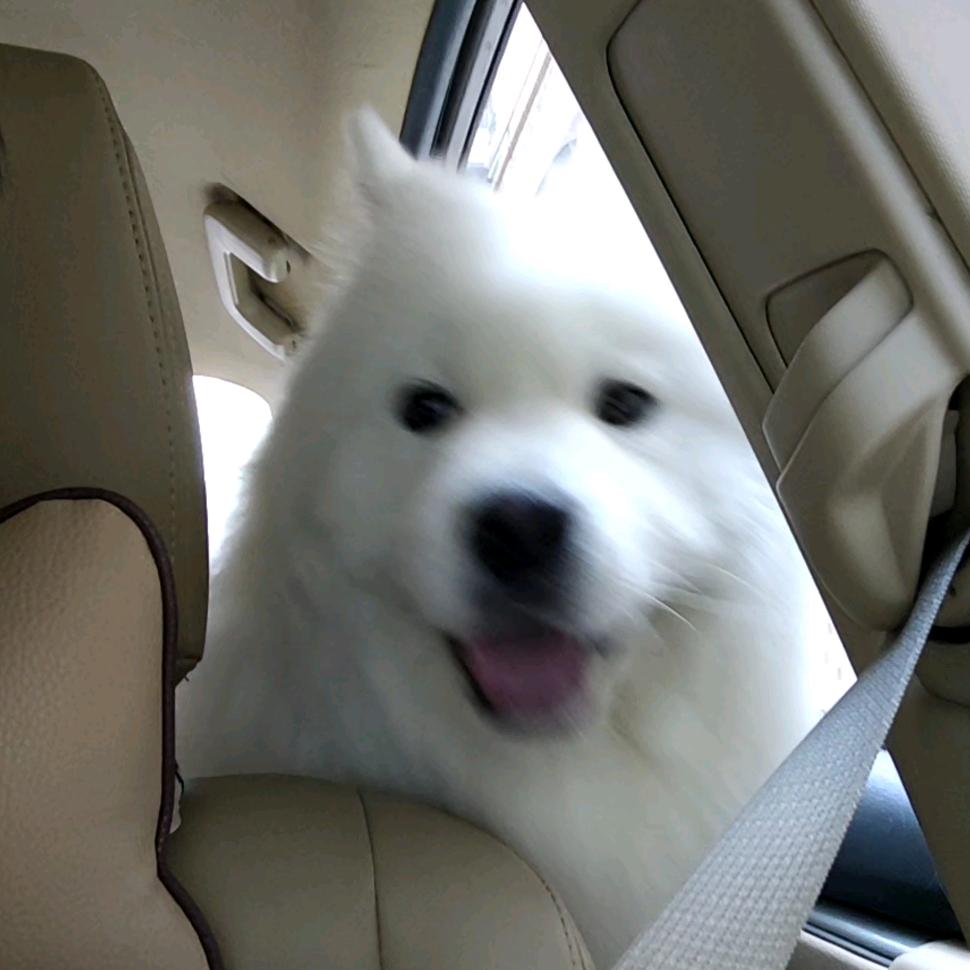 MiTnTg