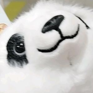 安