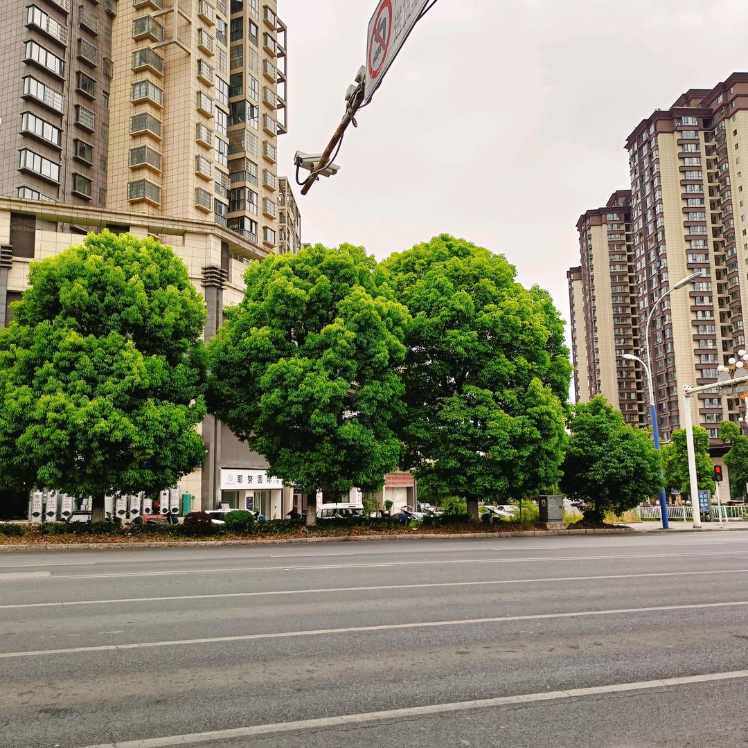 逍遥快乐！严