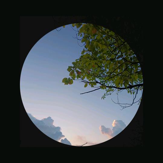 人简清醒