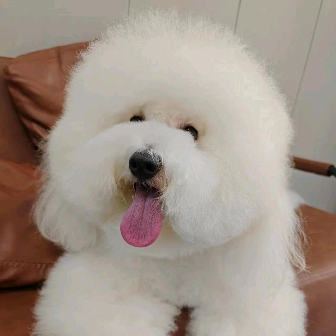 是肉字辈吖🤣