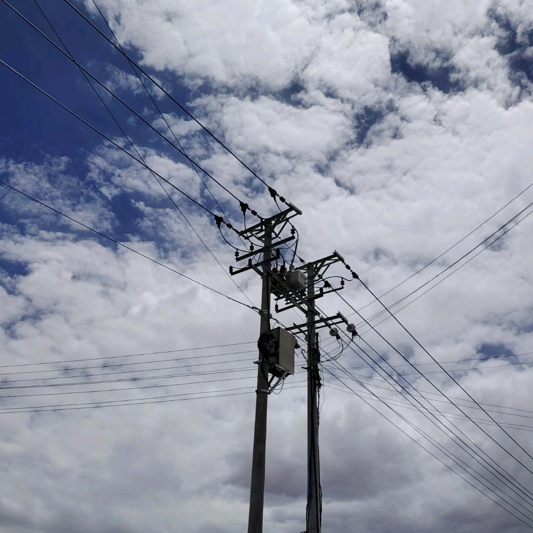 本地蔬菜水果批发零售