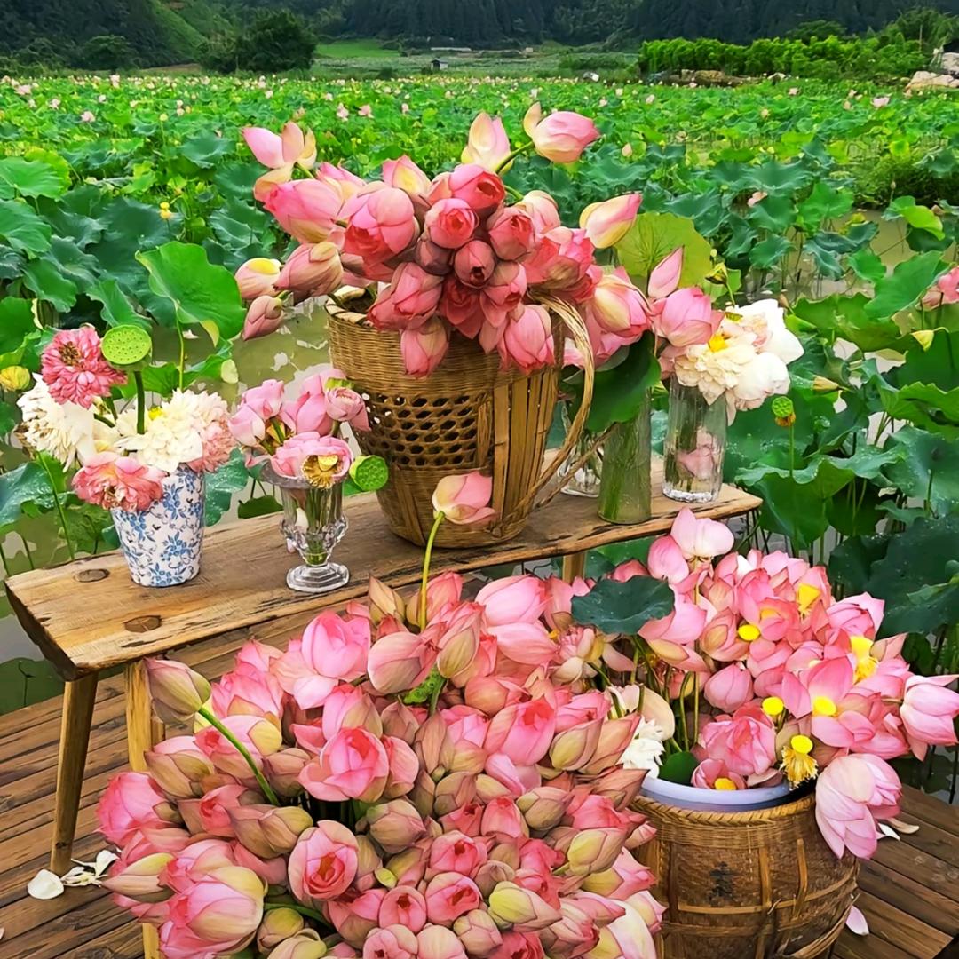 是晓琴呀