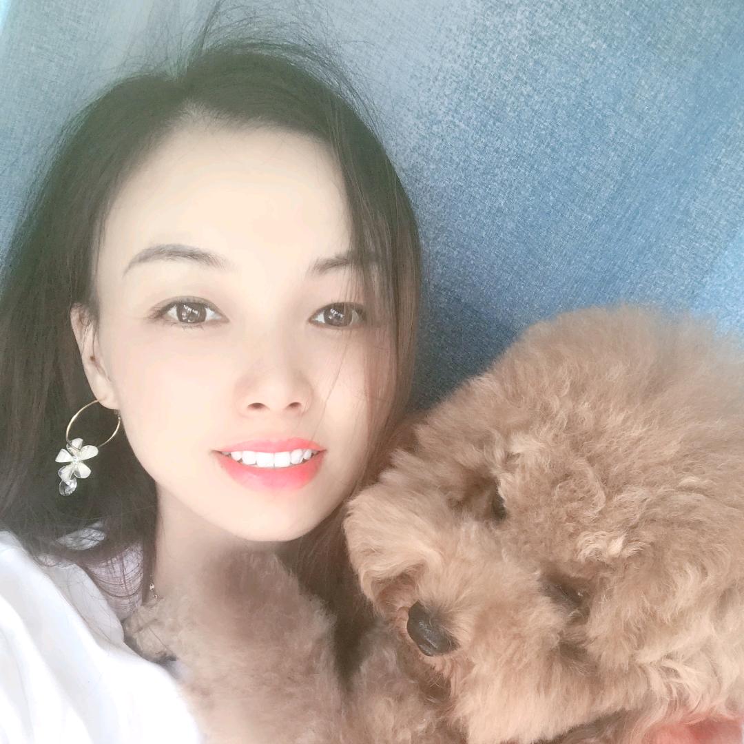 猪宝宝