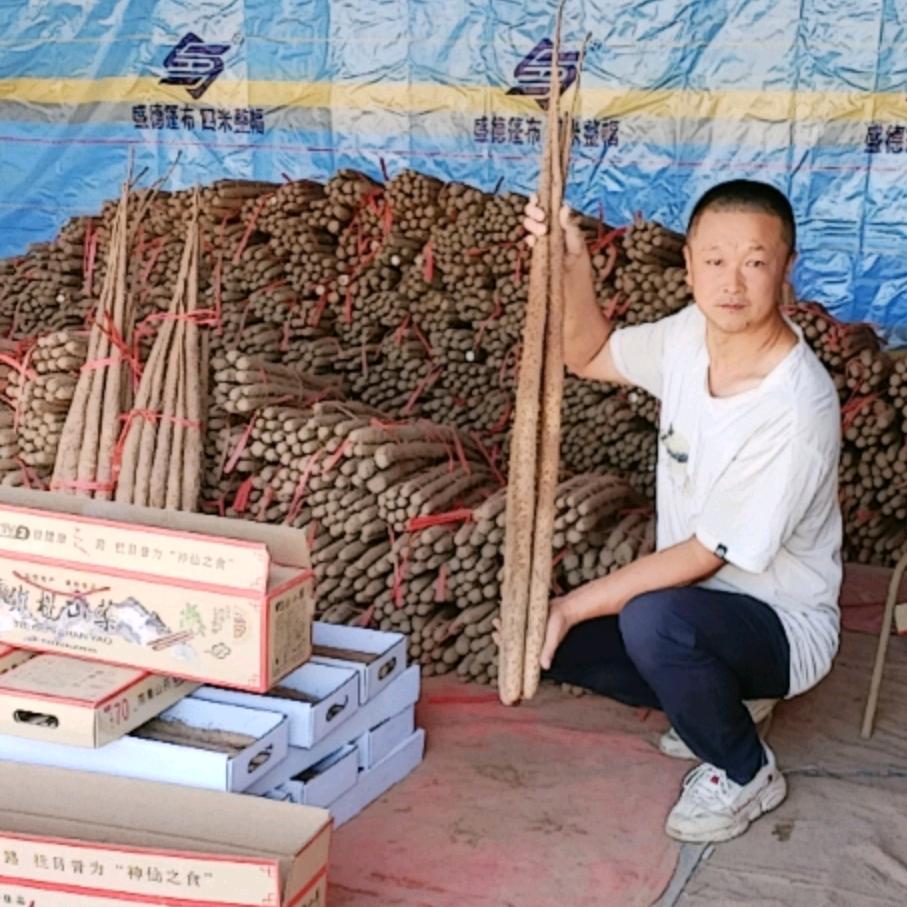 徐小明正宗铁棍山药