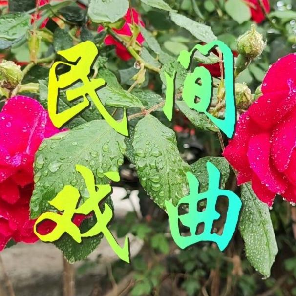 民间戏曲哭书祭文