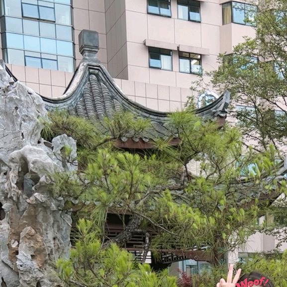 读来读往