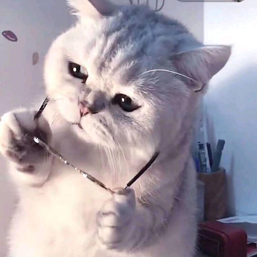 逸白(王者荣耀)