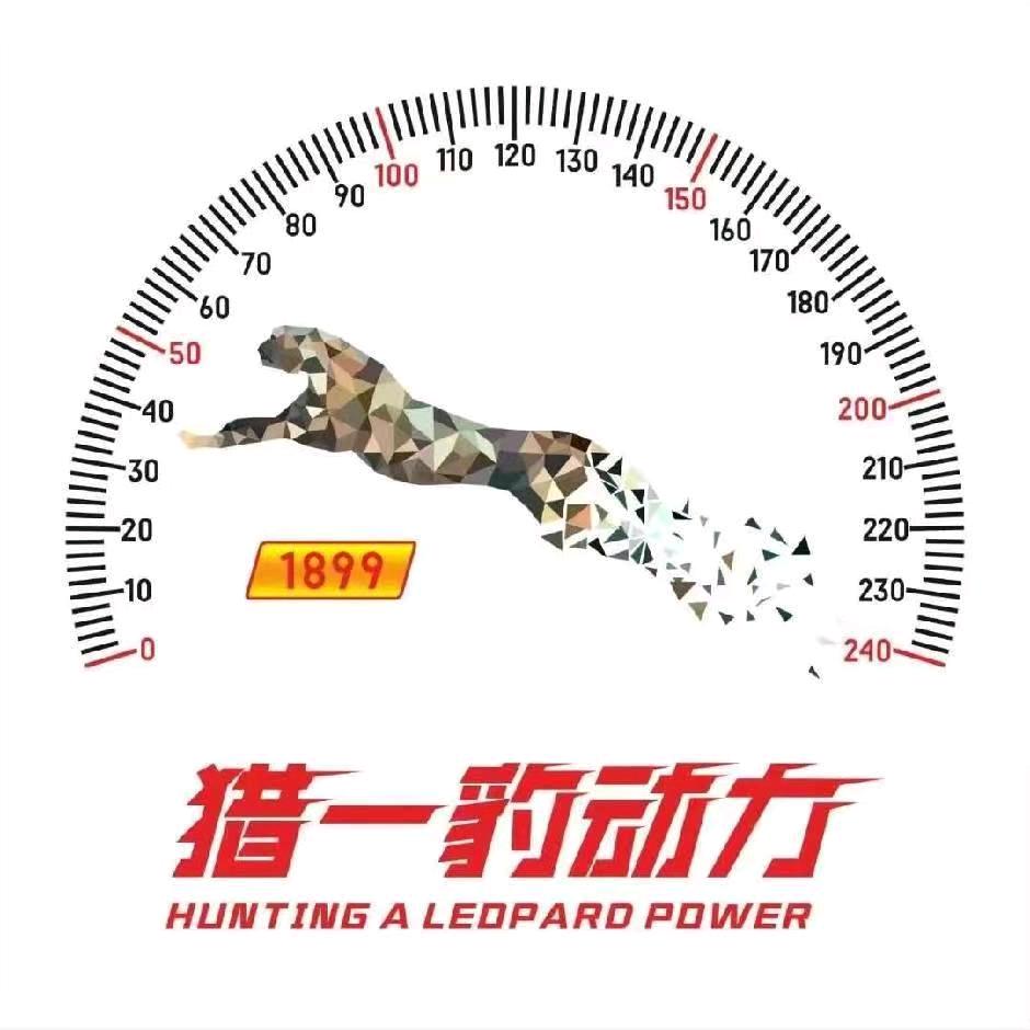 猎一豹动力